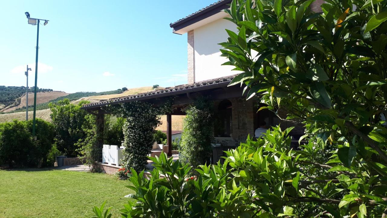 Agriturismo Trappeto Vecchio San Demetrio Corone Buitenkant foto