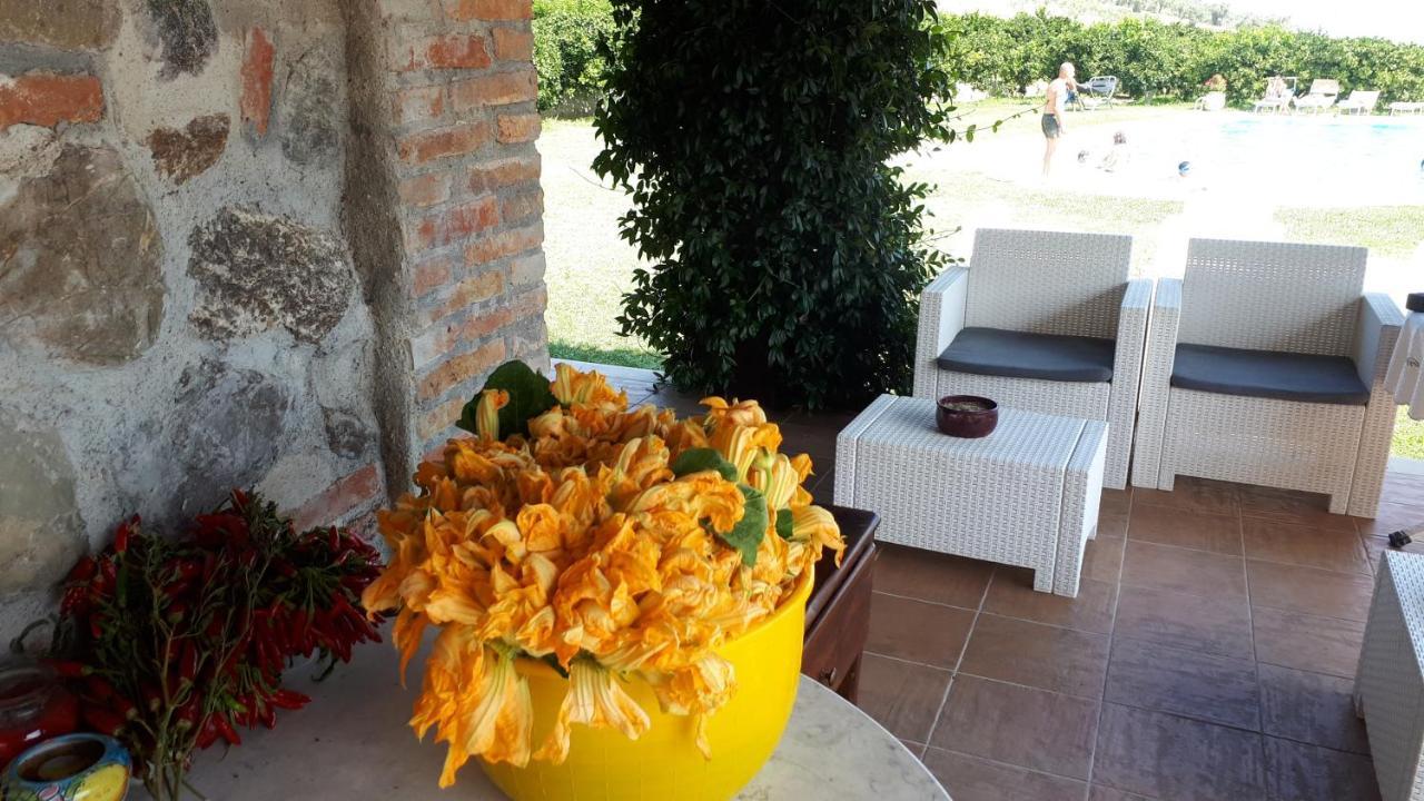 Agriturismo Trappeto Vecchio San Demetrio Corone Buitenkant foto